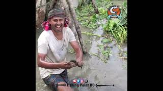 Monster Catfish Attack! Unbelievable Catch #fishing #shorts