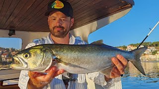 Bluefish Fishing in Mali Lošinj CROATIA