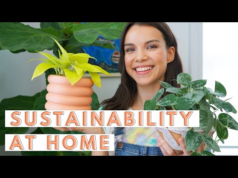 Spring Clean With Me: Steps for Sustainability | Ingrid Nilsen