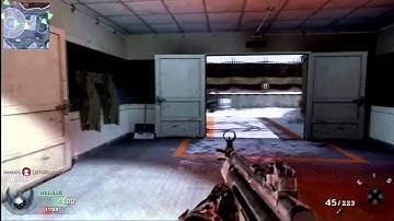 Black Ops: Flawless MP5K Gameplay on Array - Quads & Triples