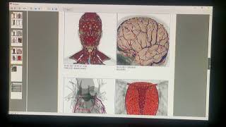 Métatron Hospital Mesure Express Avec Smartreport