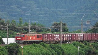 湖西線を走るEF510-19牽引3096レ&EF510-12牽引3092レと特急サンダーバード 2022.9.17