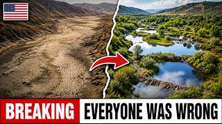 They Expected These Beavers to Die — What They Did Was Insane!