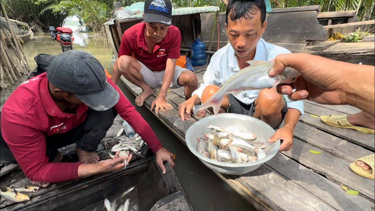 Bữa nay Thánh Liệu Anh Bình ra tay trúng mánh bầy Cá Dứa quá ngon