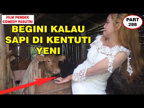 Yeni Kumat Kentut Di Muka Sapi Seperti ini Reaksinya !! Pasutri Lucu Mojokerto - Eps 288