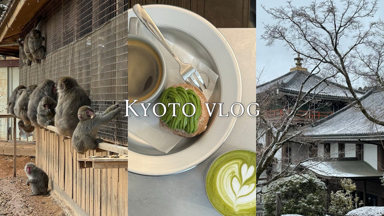 [4박5일 교토여행] 눈내리는 겨울 교토 먹방여행🍣 맛집 추천 | 카페 추천 | 대욕장 호텔 추천 | 아라시야마 몽키파크 | 파칭코 후기 