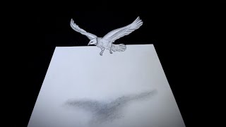 3d flying bird drawing illusion for beginners 3d eagle bird drawing optical illusion of eagle