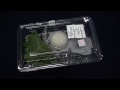 上道製菓のももだいふく(桃大福)