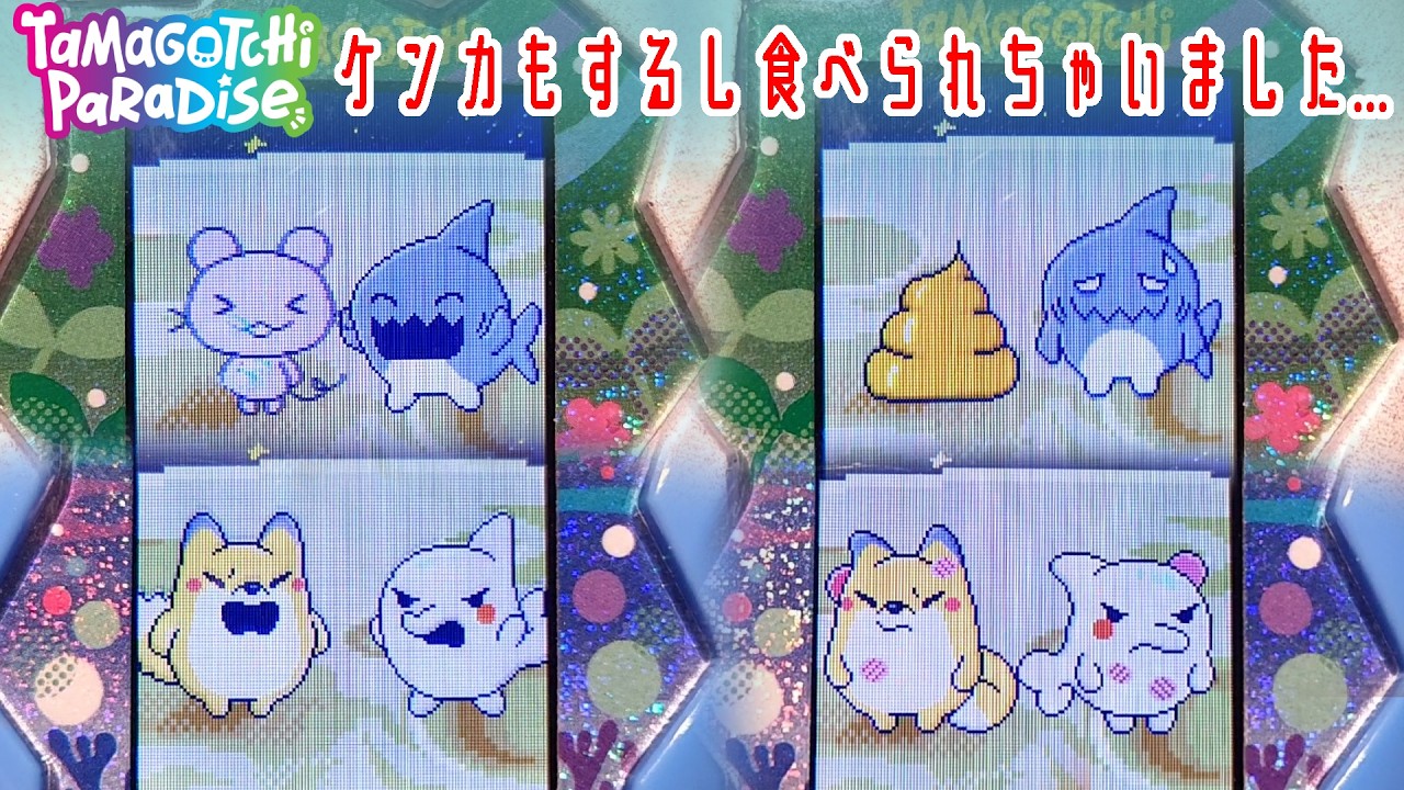 Tamagotchi Paradise】Tamagotchis are fighting, eating each other