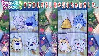 Tamagotchi Paradise】Tamagotchis are fighting, eating each other
