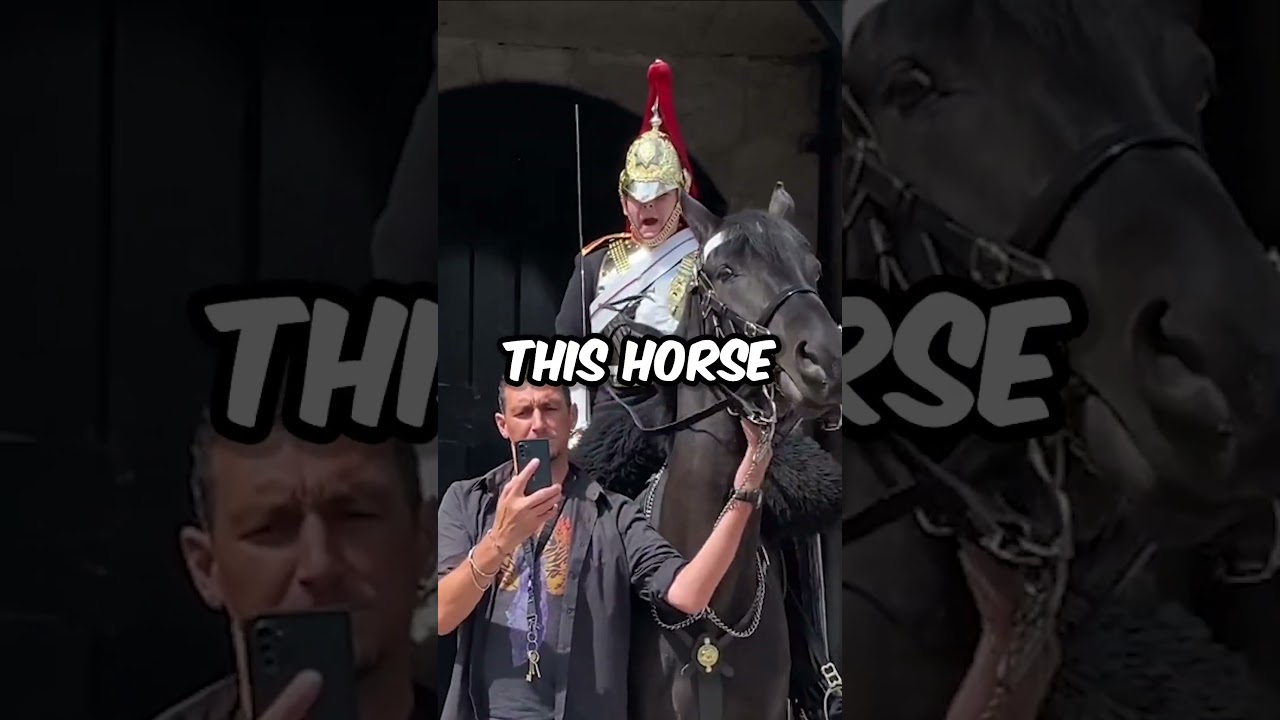 Karen vs Royal Guard! 😱👸😡