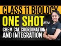 Class 11  chemical coordination and integration  xylem neet tamil  xylem neet tamil