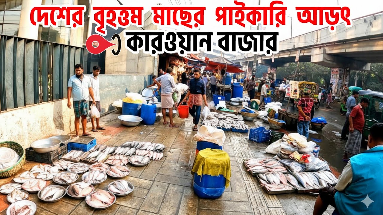 দেশের বৃহত্তম মাছের পাইকারি বাজার | কারওয়ান বাজার, ঢাকা | Kawan Bazar, Dhaka 