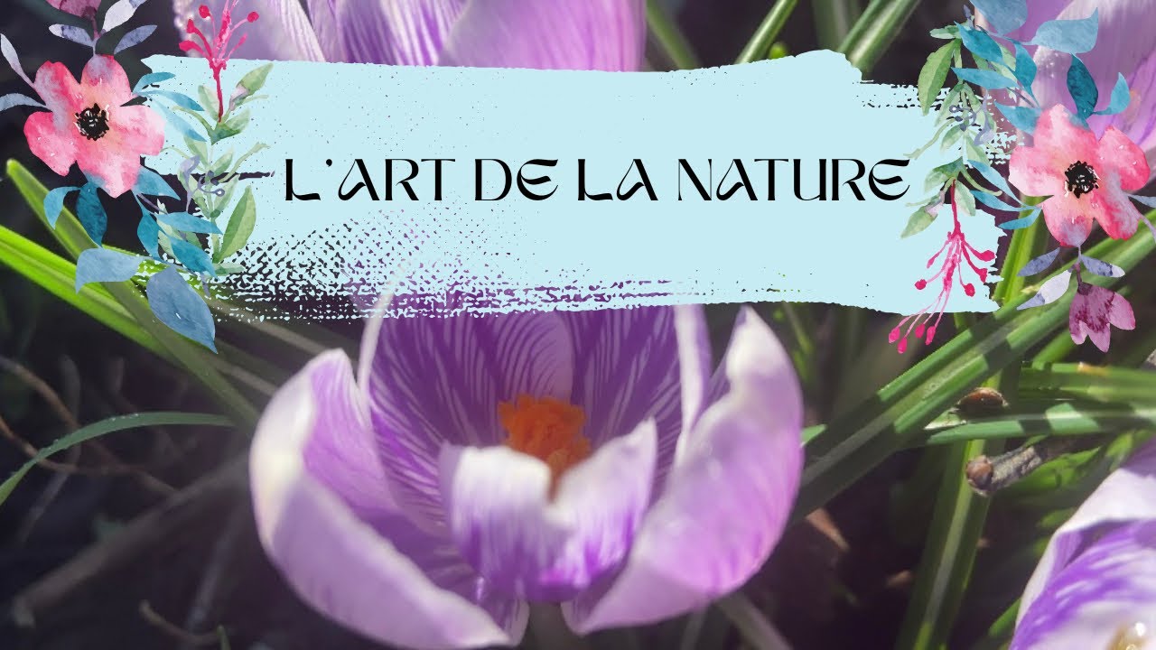 ✨ La beauté du renouveau ✨