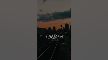 قرآن كريم راحة نفسية  تلاوة بصوت الشيخ ماهر المعيقلي  #قرآن