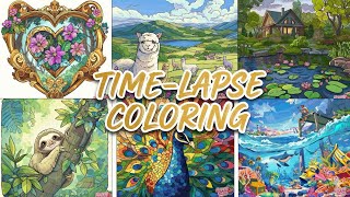 Stunning Time-Lapse Coloring – Sloth, Peacock, Ocean & More