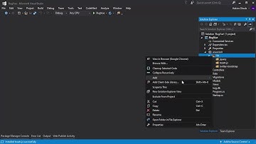 05   Client Side Libraries