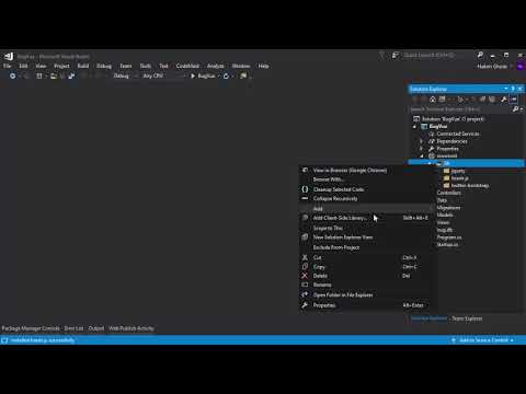 05   Client Side Libraries