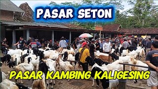SUASANA PASAR SETON,PASAR KAMBING KALIGESING SABTU 7 FEBRUARI 2026