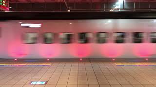 EMU3000 Series (green stripe) New Tzechiang Service 324 passing through Art Museum Station