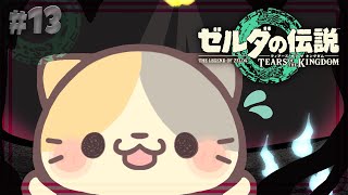 【ティアキン】#13 お写真！見せに行こうね！ね！🍣【ゼルダの伝説TOTK/ティアーズオブザキングダム/むぅたま VTuber】