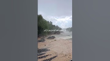 القارئ:عبدالرحمن القحص|سورة:إبراهيم،،#تلاوة #تلاوة_خاشعة #قرآن #مصحف #اكسبلور
