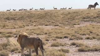 IMG 4334 IMG 4334
