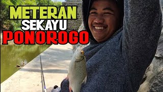 Salah Satu Spot Favorit Pemancing Ponorogo #Meteran Sekayu Tinggal Kenangan