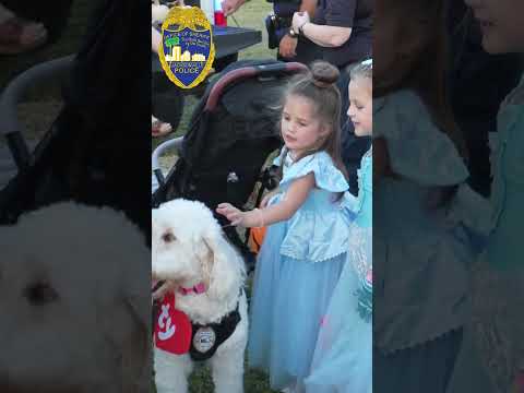 District 2 Trunk or Treat