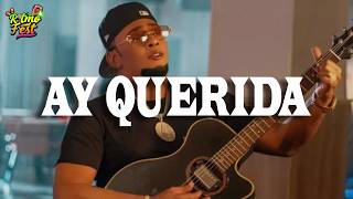 ANTHONY SANTOS – AY QUERIDA  (Letra)