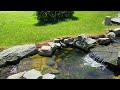 Natural Swim Pond and Garden