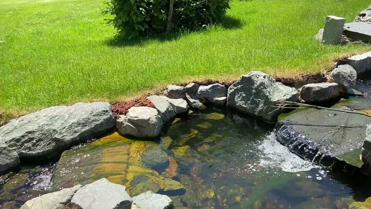 Natural Swim Pond and Garden YouTube
