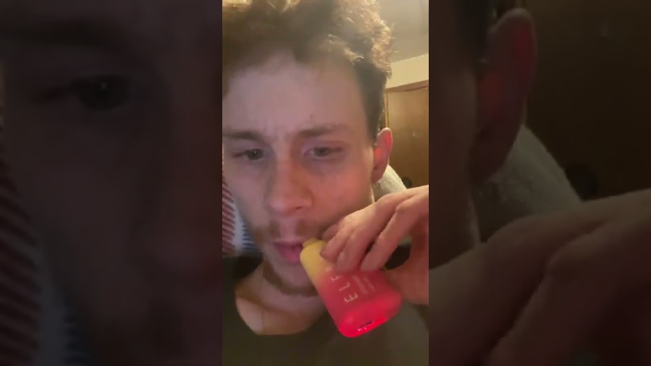 Malibu Elfbar review