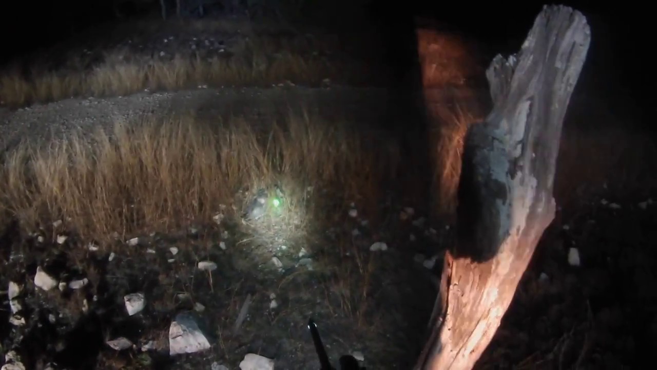 West Texas Night Hunting 