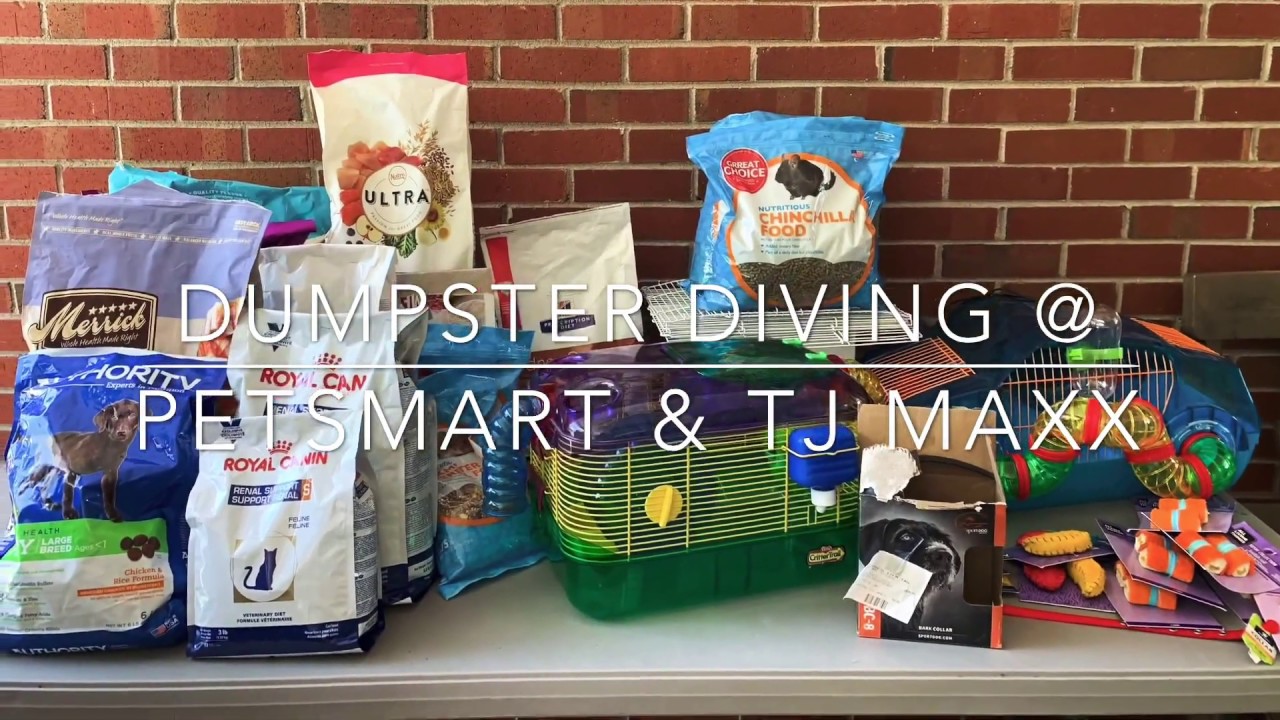 DUMPSTER DIVING PetSmart & TJMAXX ,GREAT HAUL YouTube
