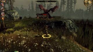Dragon Age Origins Flemeth Battle