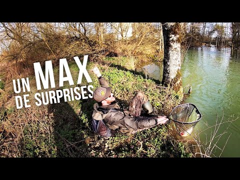 Miniature de la vidéo : Des invité(e)s surprises !  - BAM! #3 - Ouverture pêche de la truite 2020