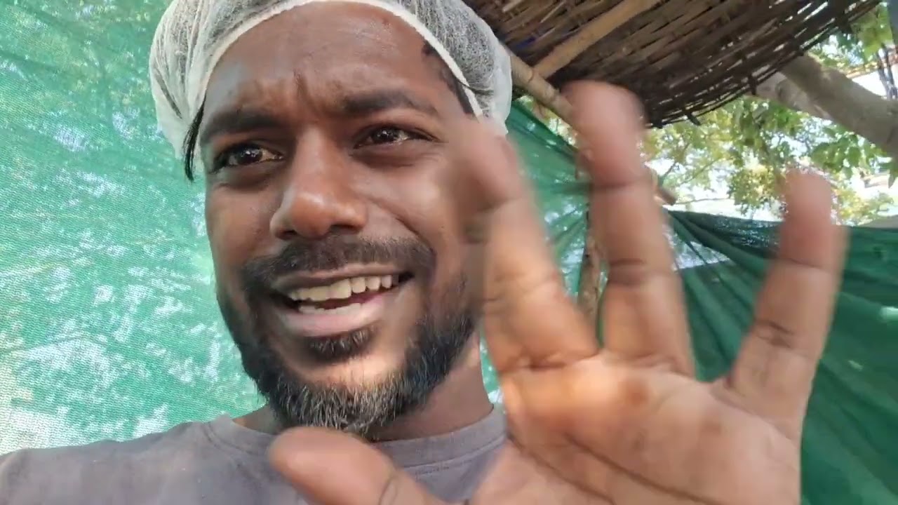 Aji pura business down day 13 