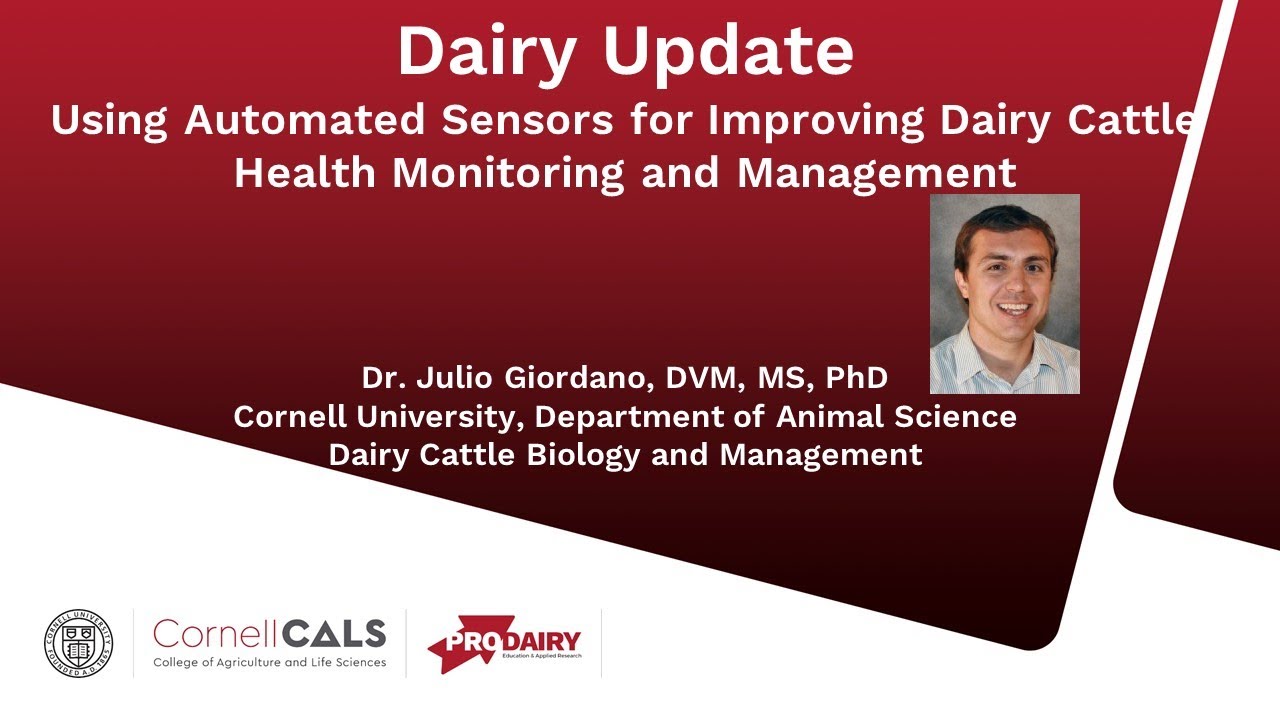 Integrating Automated Monitoring Technologies into Dairy Herd Health