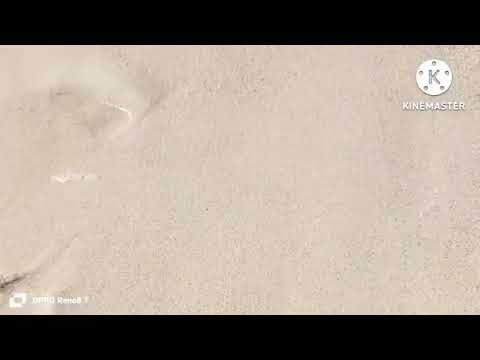 هروب صدفه جاد قبل القبض عليها بلحظات للمملكه صويت العرباوي سرقة اولادي خط ف سعادياسمين مسحت كرامة ض 