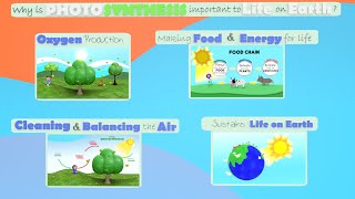 Why We NEED Plants to Survive! 🌳🌬️ | Why Photosynthesis is important to life