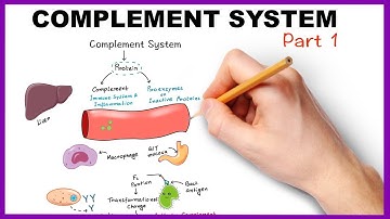 Complement System ( part 1)