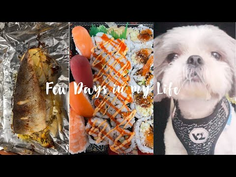 WEEKLY VLOG: Cooking Branzino, Gatsby gets ice cream, reset & more