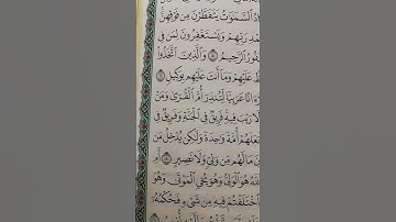 سورة الشورى من آية 6_8