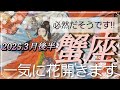 【3月後半🌸】蟹座さんの運勢🌈必然だそうです‼一気に花開きます✨💛✨