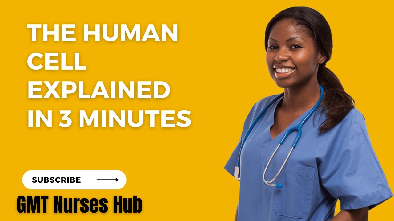 The Human Cell explained in 3 minutes - YouTube