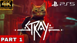 Full STRAY Gameplay Walkthrough Part 1 FULL GAME (4K 60FPS) - No Commentary - Playstation 5 Guide