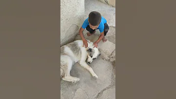 ارجوكم تابعوني هههه 