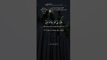 #اللهم_صل_وسلم_على_نبينا_محمد #قران_كريم #quran #عبدالرحمن_السديس #سورة_الملك #surah_almulk