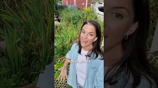A $2,000 FINE for a garden?!